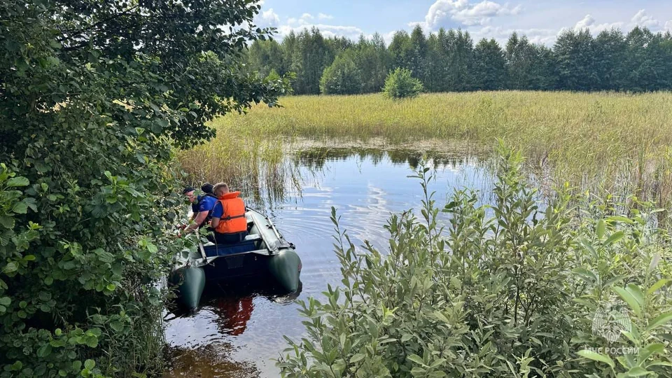 фото из телеграм-канала ГУ МЧС по Владимирской области