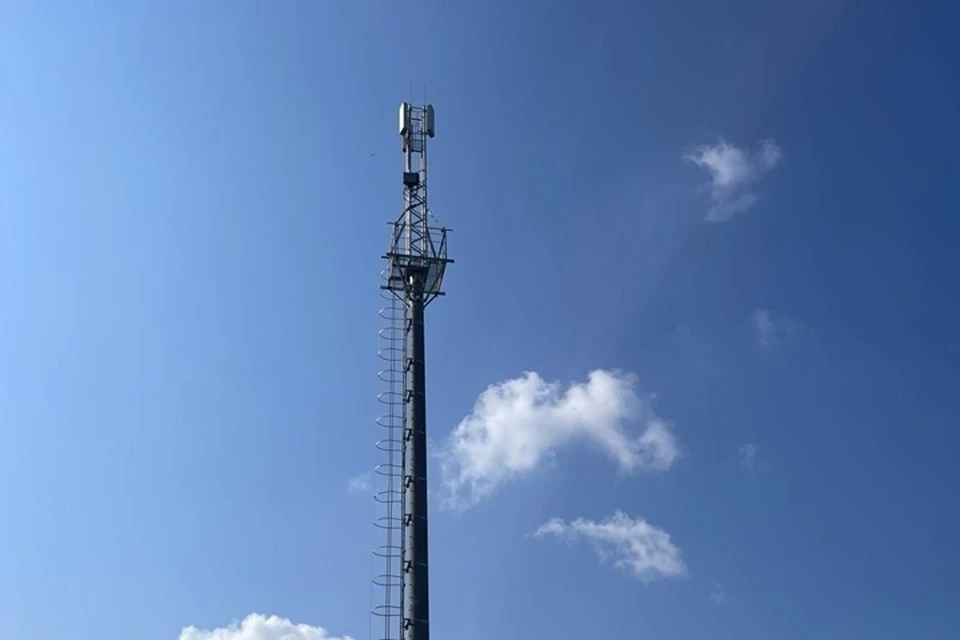 Фото: информационный центр Тюменской области