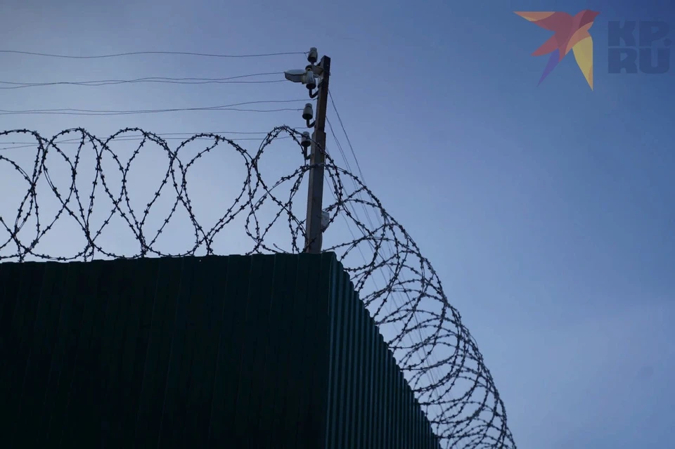 Суд приговорил его к 1 году 4 месяцам лишения свободы в колонии строгого режима.