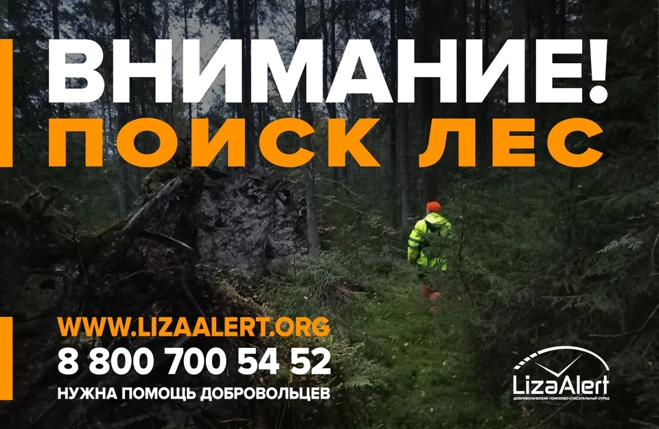 Фото: поисково-спасательный отряд "ЛизаАлерт" Костромской области