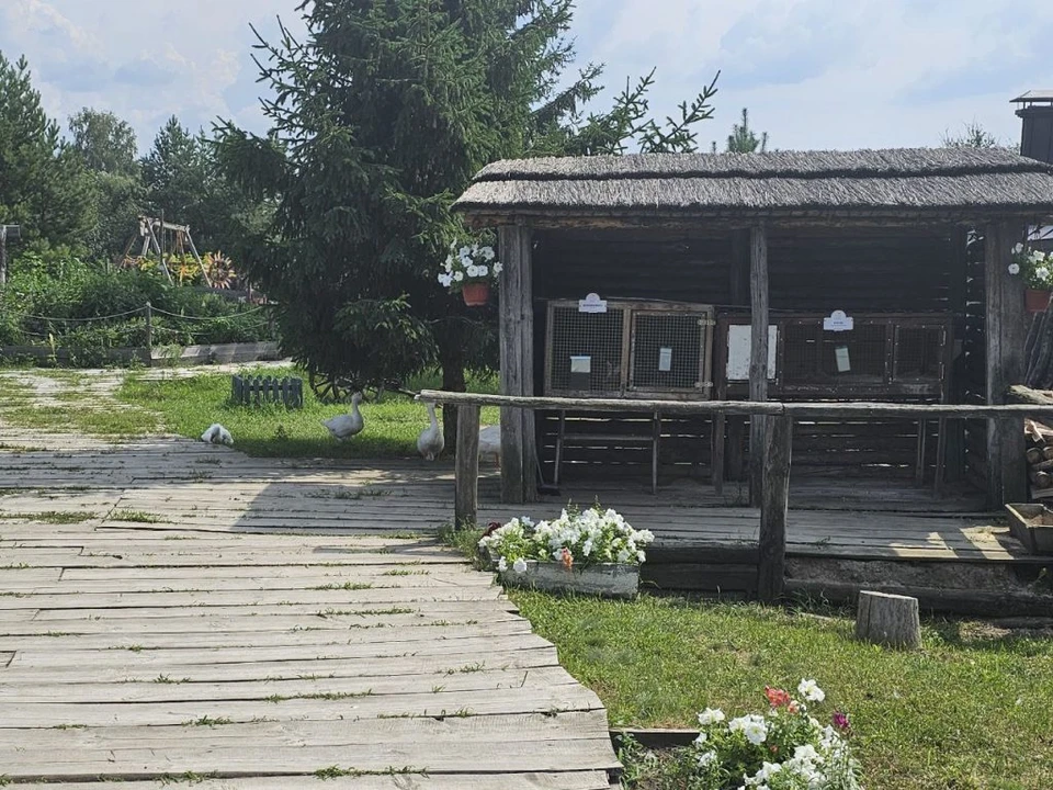 Фото с сайта Управления Россельхознадзора по Воронежской, Белгородской и Липецкой областям