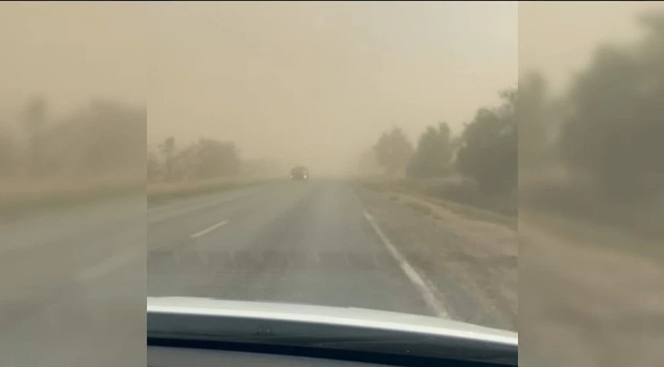 Фото: стоп-кадр видео ГАИ Ставрополья