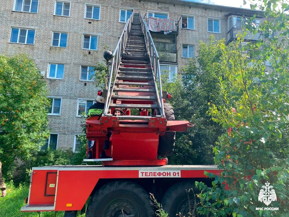 Фото: ГУ МЧС России по Костромской области