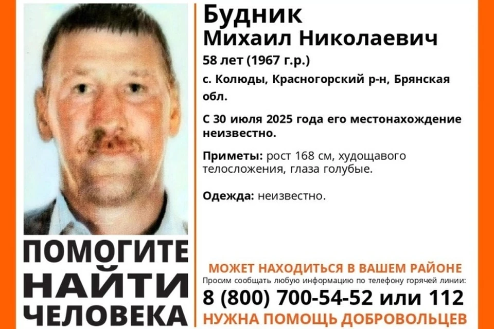 Фото: поисковый отряд "Лиза Алерт", ВКонтакте.