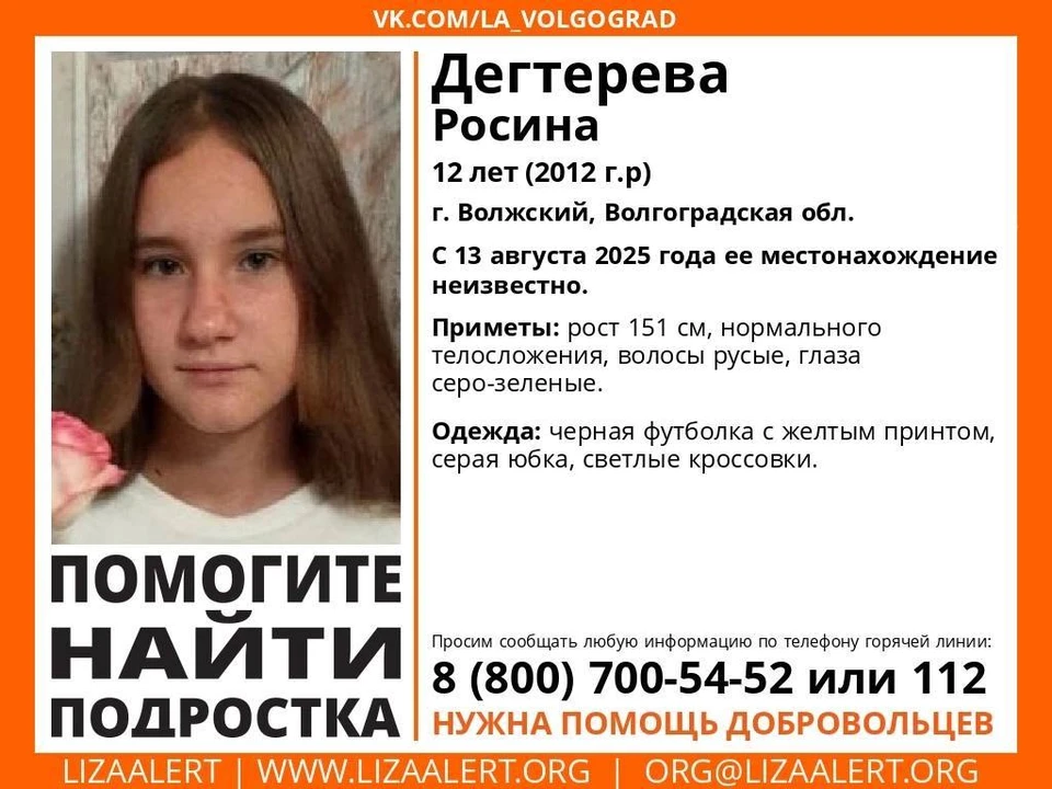 Девочку ищут волонтеры. Фото: "Лиза Алерт".