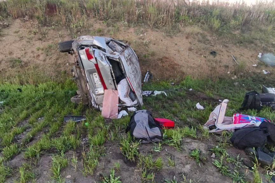 Дети пострадали в аварии из-за дикого животного на дороге в Усольском районе.