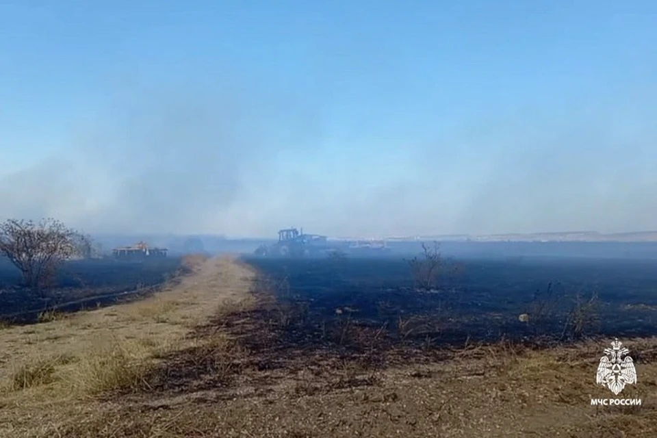 Пожар возле села Трудолюбово локализовали. Фото: МЧС России