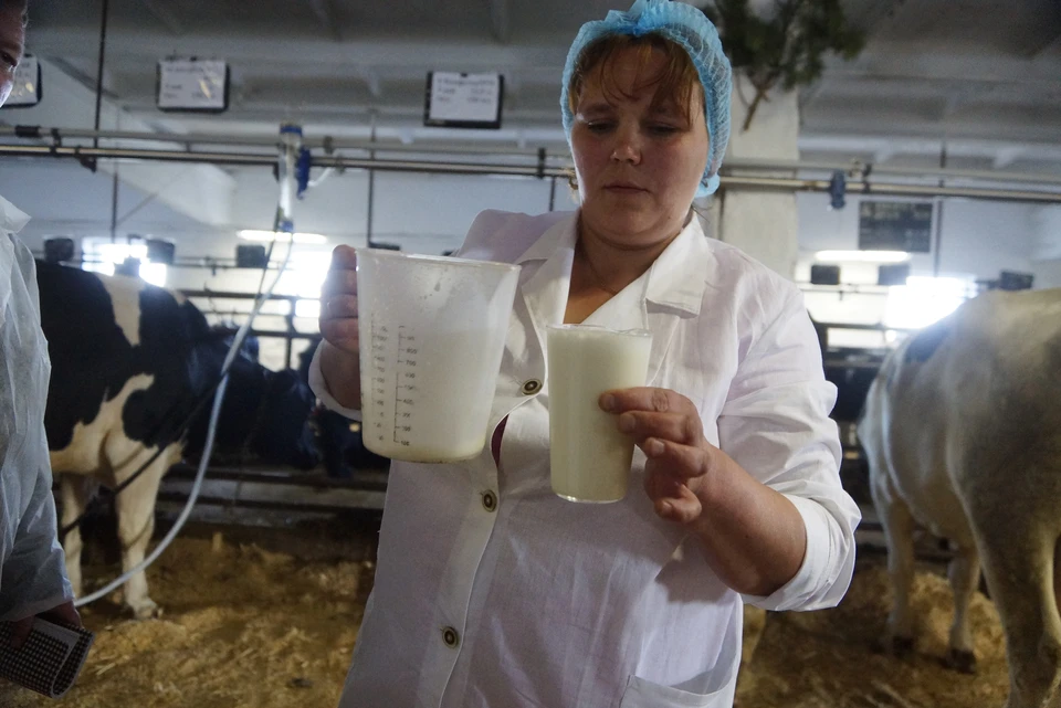 Фермеры получат помощь.