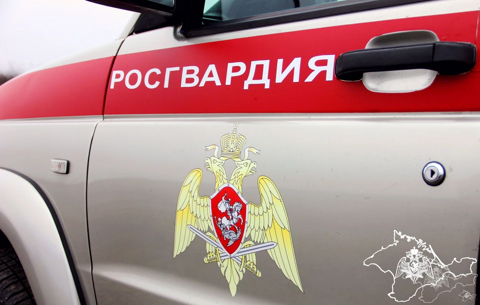 Злоумышленник ответит за хулиганство. Фото: 82.rosguard.gov.ru