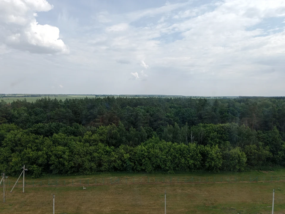 Днем по прогнозу будет ясная погода