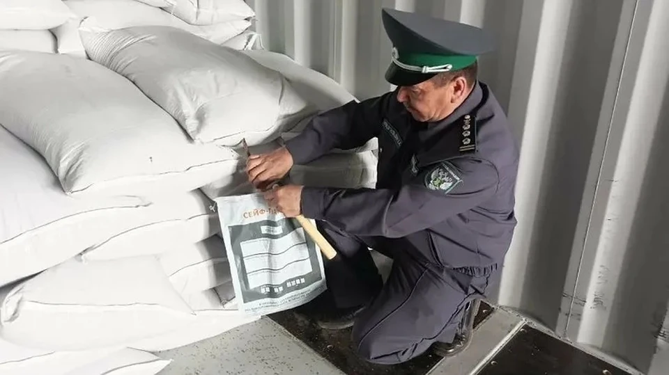 В целом, в 2025 году из Кировской области в Индию было экспортировано 127 тонн спичечной соломки. Фото: Управления Россельхознадзора по Республике Башкортостан