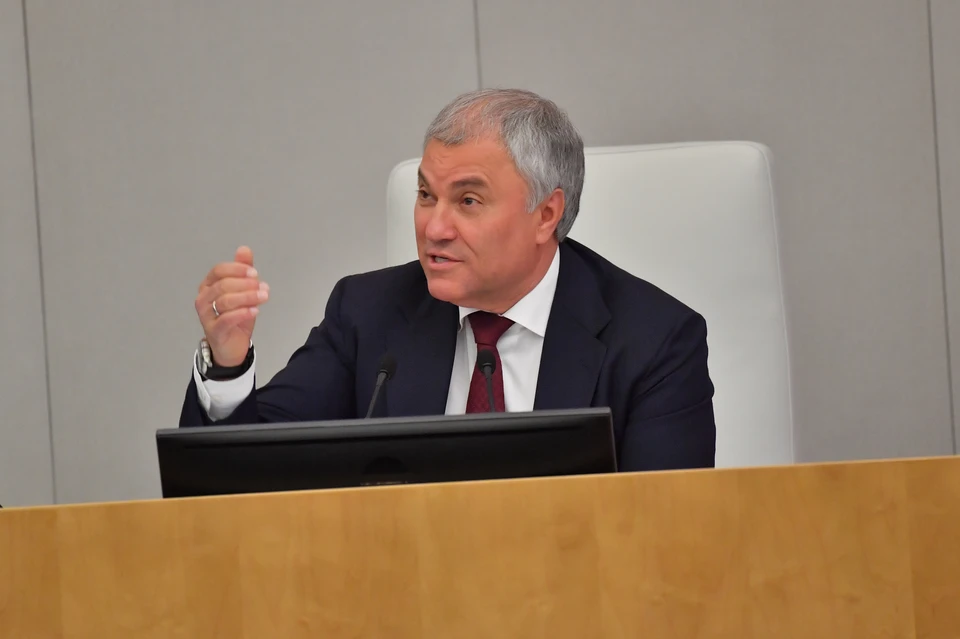 Володин призвал не допускать вернувшихся в РФ релокантов на госслужбу