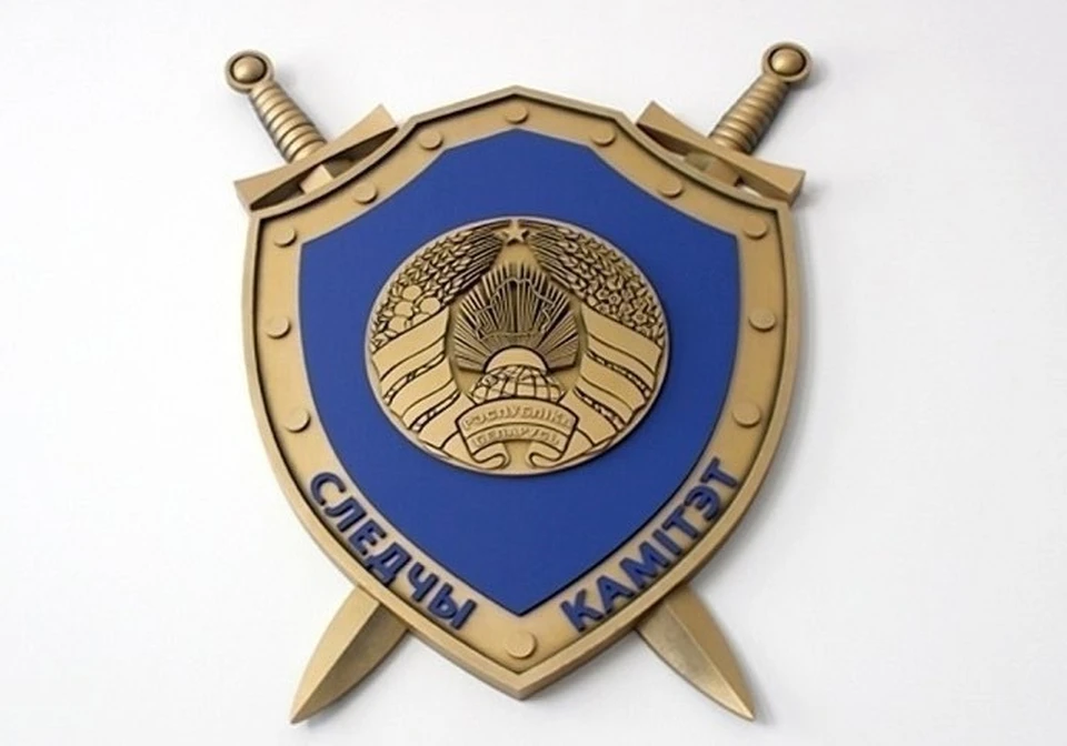 СК сообщил, что скинхед из Бобруйска стал фигурантом уголовного дела. Фото: sk.gov.by