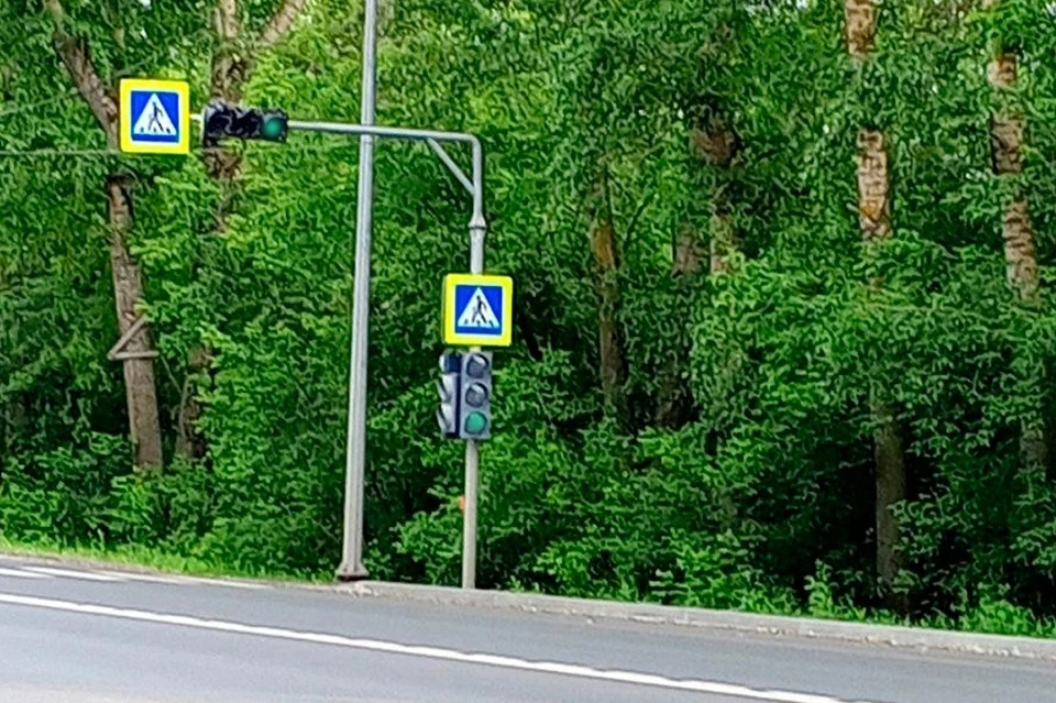 Фото: Народный фронт