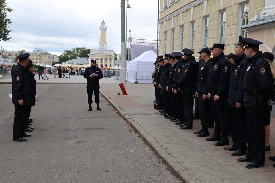 Фото: пресс-служба УМВД России по Костромской области
