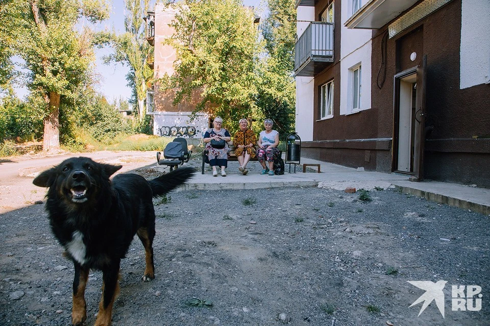 Больше в подвалах Авдеевки людей нет
