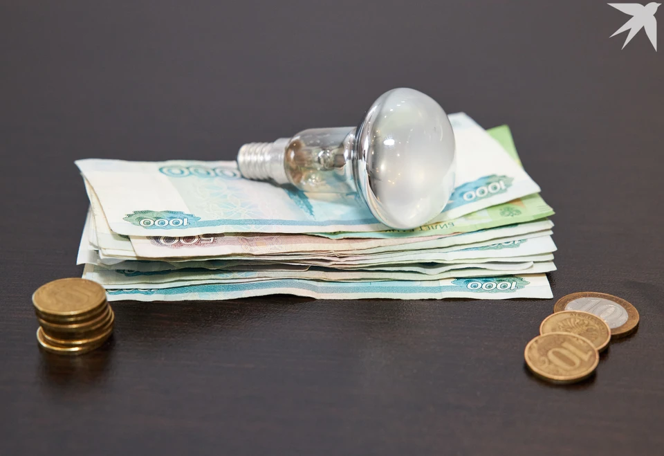 К участкам многодетных семей на улице Родниковой в Мурманске уже 10 лет не могут провести электричество.