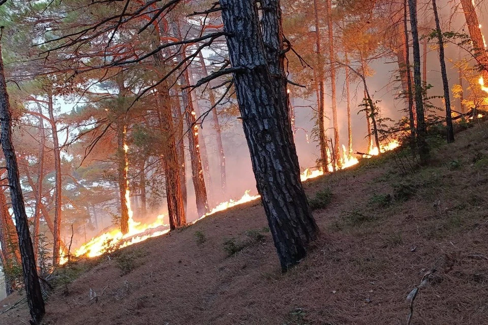 Площадь пожара увеличилась до 19 га Фото: оперативный штаб Краснодарского края