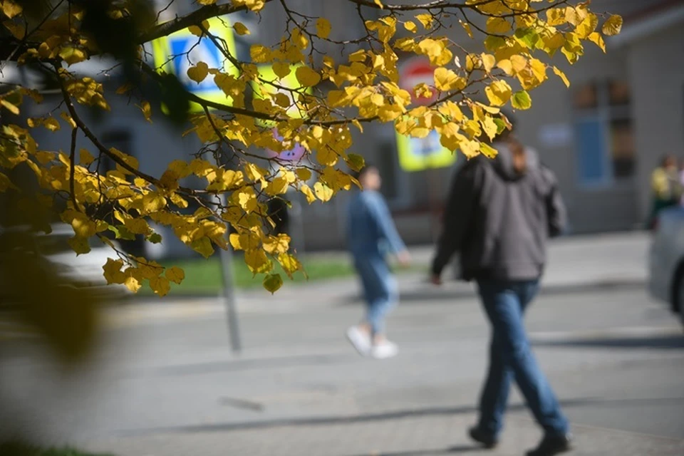 Рассказываем, куда сходить в Тюмени в первую неделю осени