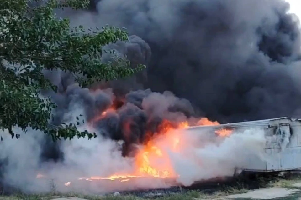 Сухая трава загорелась в Новознаменском Фото: кадр из видео