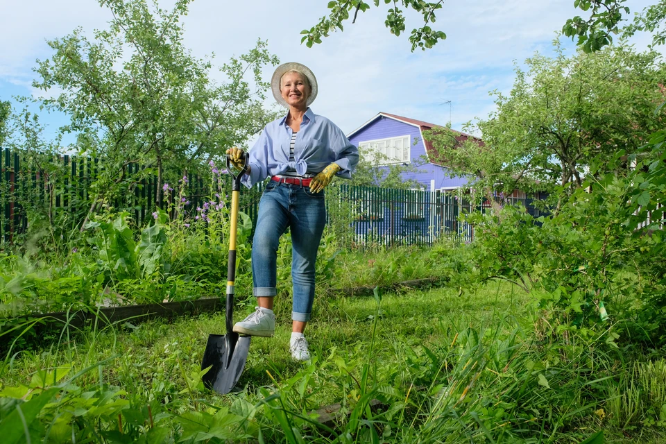 День садовода отметили в Петербурге.