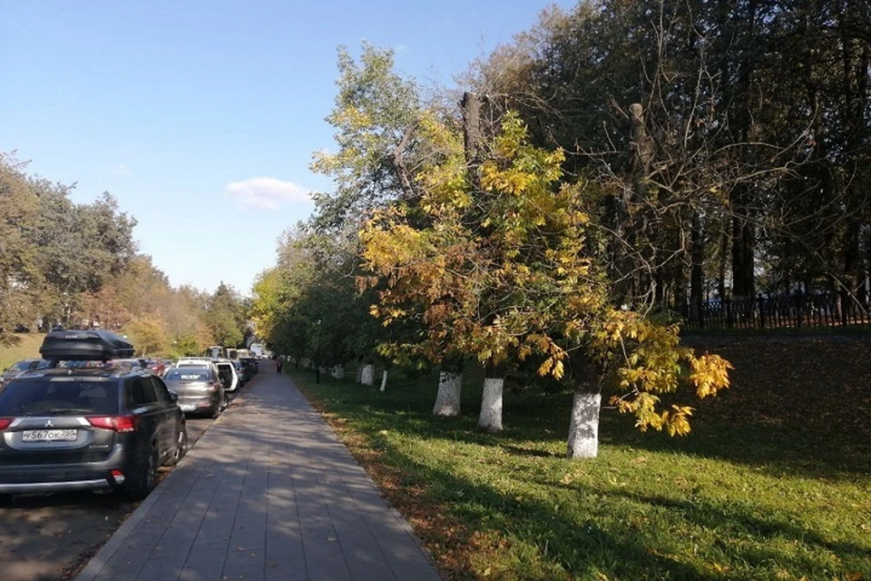 В Ярославле ожидается довольно теплый сентябрь.