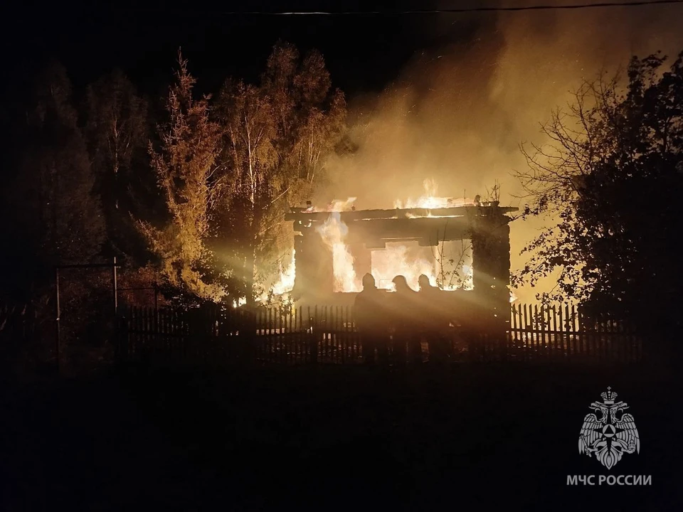 Пять пожаров произошли в Нижегородской области за сутки