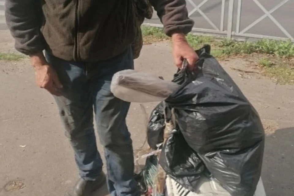 В маленькую переноску бродяга посадил восемь кошек. Фото: телеграм-канал Жесть Ярославль.