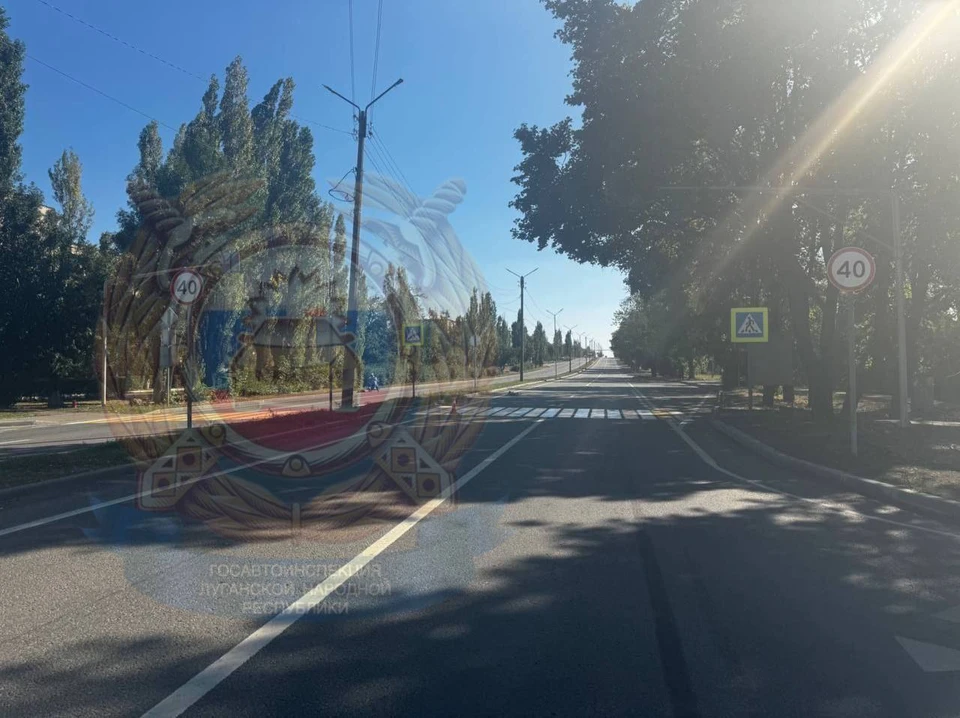 В Красном Луче водитель сбил 17-летнюю девушку и сбежал. Фото: УГИБДД МВД по Луганской Народной Республике