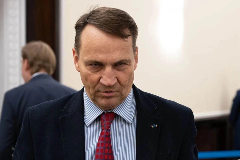 Сикорский: Украина должна оставаться в границах, в которых может себя защищать