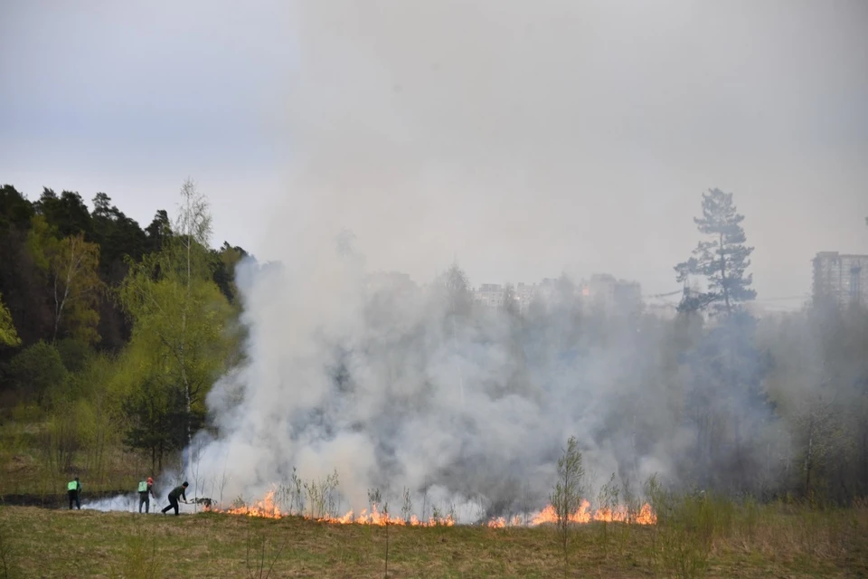Как правило, природные пожары случаются по вине людей.