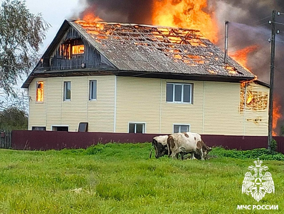 Фото: МЧС Кузбасса.