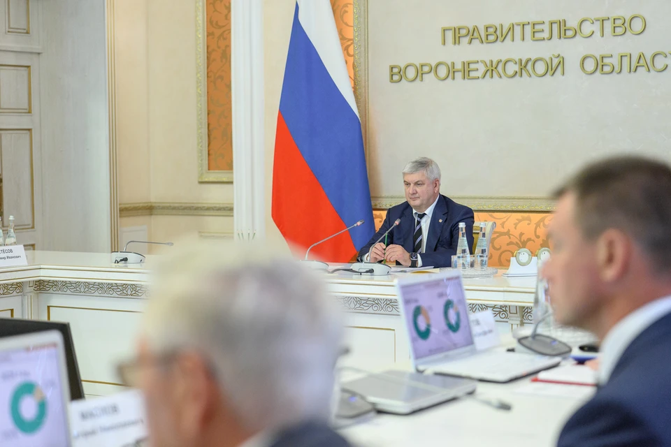 фото: Правительство Воронежской области