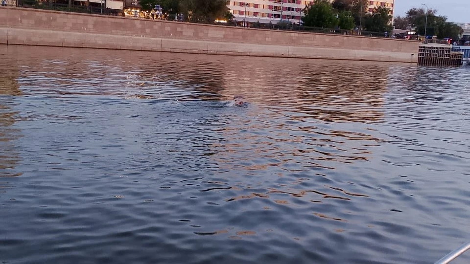 Фото: ГКУ "Волгоспас"