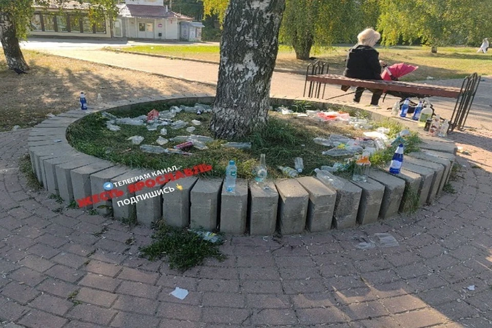 Горожане полагают, что в сквере побывали студенты. Фото: телеграм-канал Жесть Ярославль.