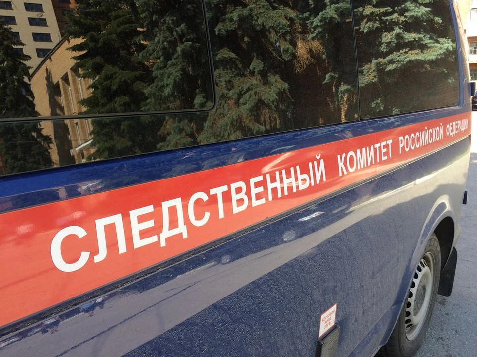 В Новомосковске мужчина напал на трёхлетнего крестника.