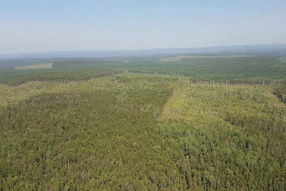 В Хабаровском крае вторую неделю нет лесных пожаров