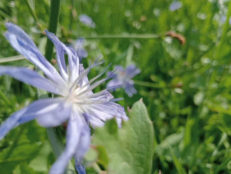 В Белгороде ожидается чрезвычайная пожарная опасность 16 сентября