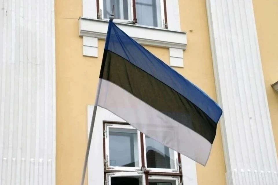 ERR: В Эстонии к 2028 году соорудят ров в 40 километров у границы с Россией