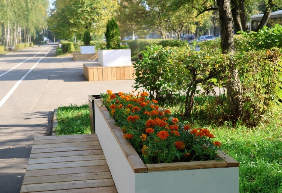 фото с сайта администрации Владимира