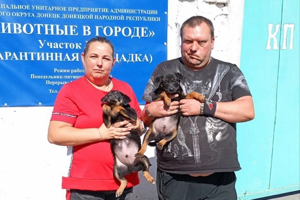 Даже в сложные времена дончане не остаются равнодушными к чужой беде. Фото: Администрация Донецка