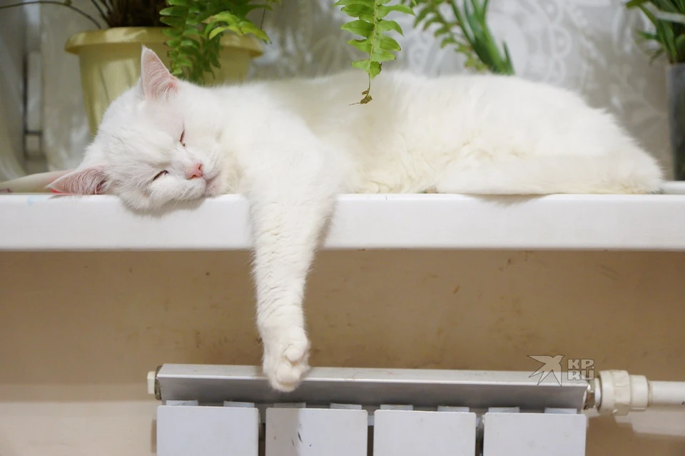 В Свердловской области в работу запущено 86,4% котельных