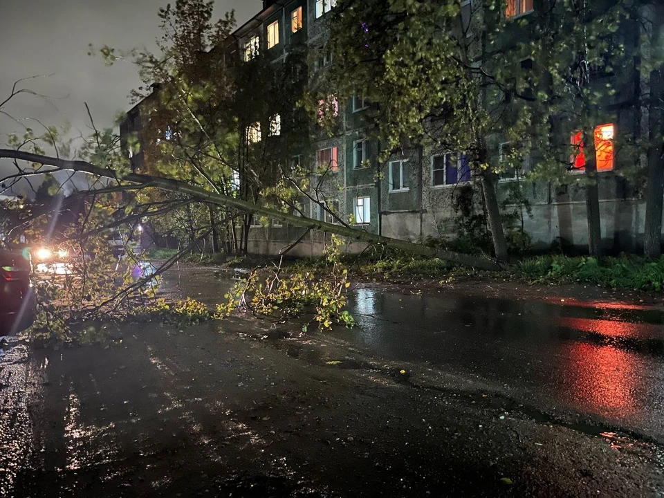 Водителей и пешеходов просят быть предельно осторожными. Фото: t.me/region_m51
