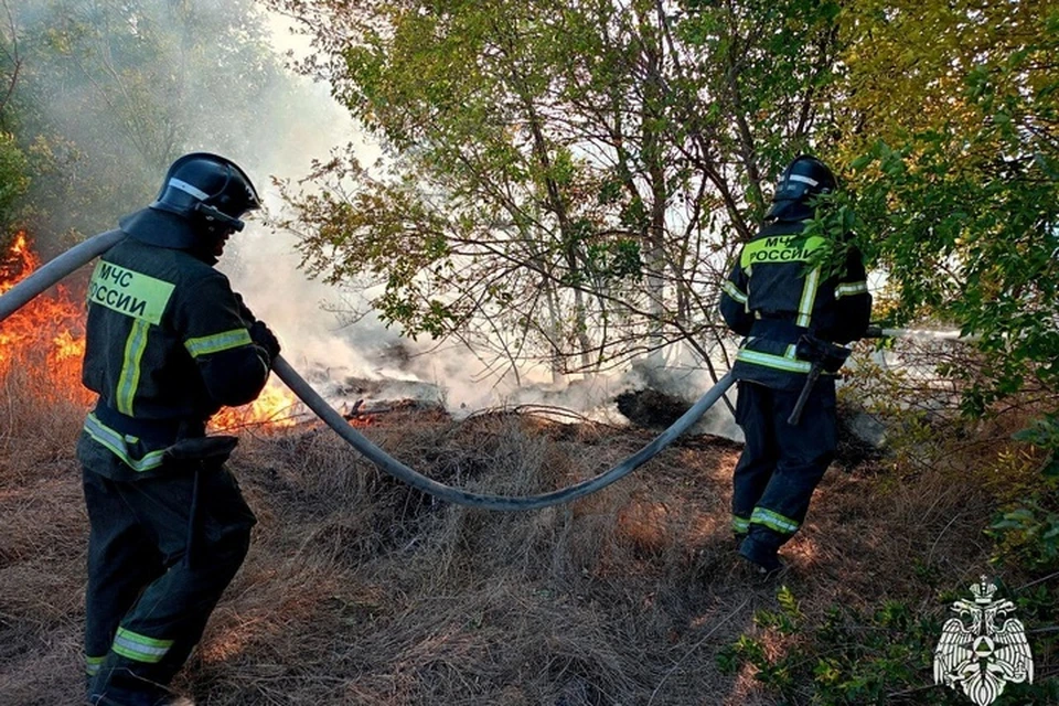 Девять пожаров потушили за сутки в регионе. Фото: ГУ МЧС России по Запорожской области