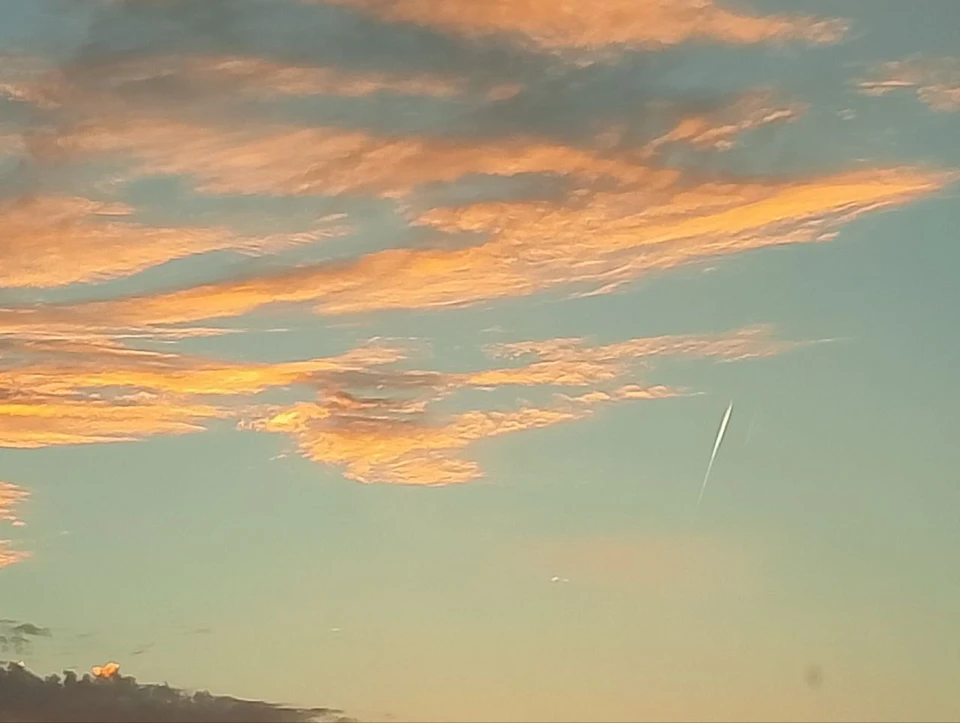 Фото предоставлено редакции «КП Омск»