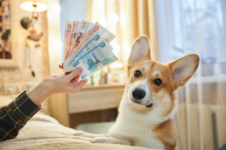 В правительстве подписали документ об изменении размера МРОТ: как это отразится на жизни россиян