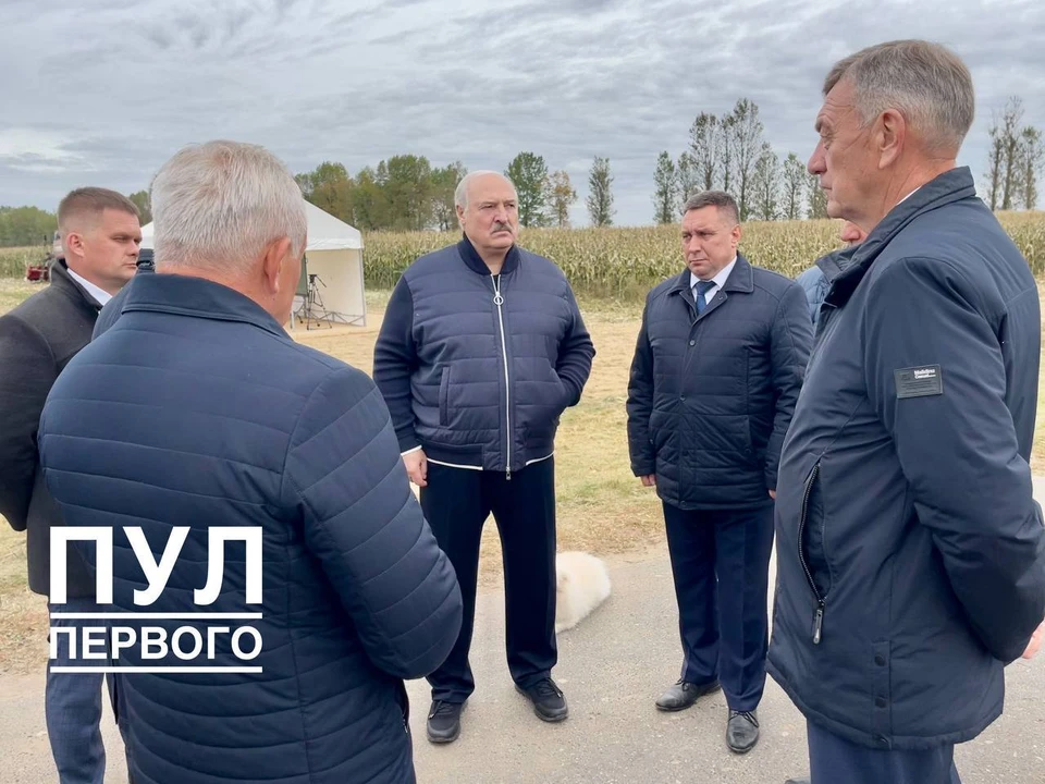 Лукашенко предупредил, чья отвратительная работа дорого обойдется. Фото: телеграм-канал "Пул Первого".