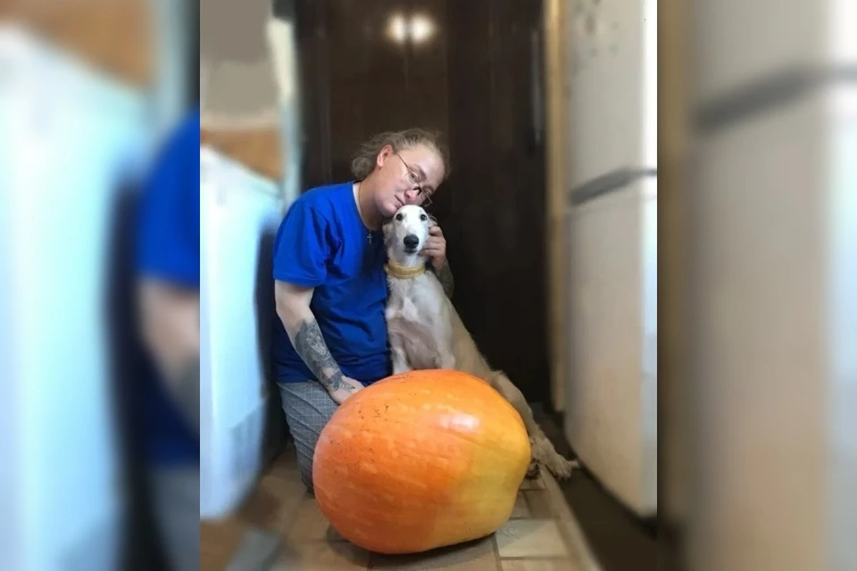 В ДНР вырастили самую увесистую тыкву Донбасса. Фото: «Донецкий» филиал Россельхозцентра