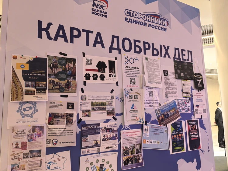 «Неравнодушие, которое объединяет»: Какие гражданские инициативы предложили сторонники «Единой России»