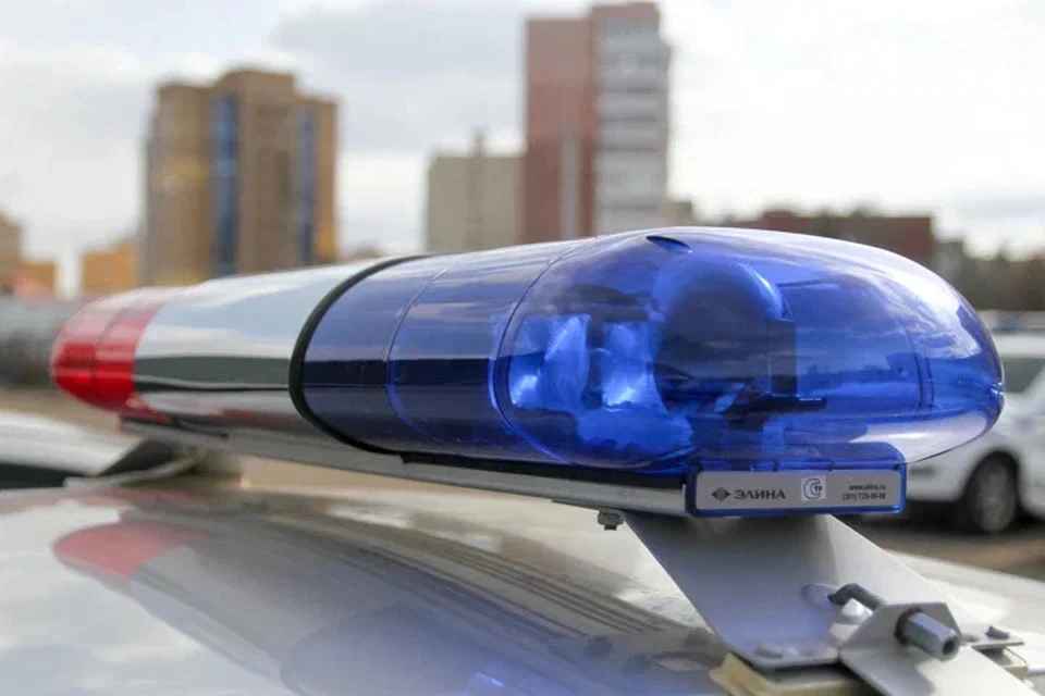 В Беларуси пенсионерка делала уборку в квартире покойного отца, а потом пошла в милицию. Снимок носит иллюстративный характер.